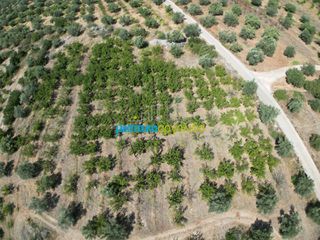 Αγροτεμάχια 5.884 τ.μ. για πώληση, Αργολίδα, Λύρκεια-thumb-1