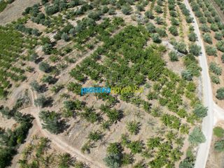 Αγροτεμάχια 5.884 τ.μ. για πώληση, Αργολίδα, Λύρκεια-thumb-2