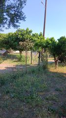 Land plot 500 sqm for sale