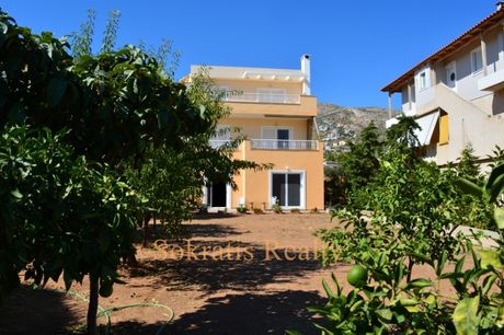 Μονοκατοικία 300τ.μ. για πώληση-Ανάβυσσος » Άγιος νικόλαος