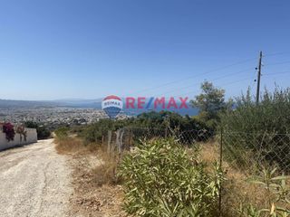 Αγροτεμάχια 2.097,89 τ.μ. για πώληση