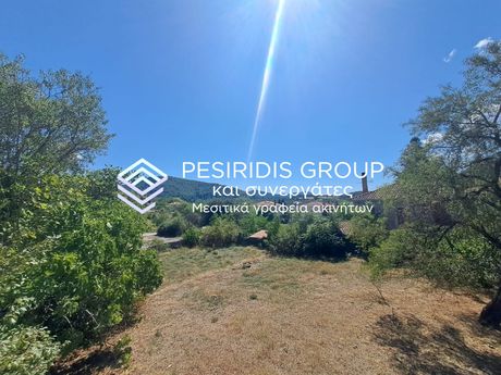 Land plot 923sqm for sale-Levidi » Roussis
