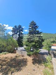 Οικόπεδο 923 τ.μ. για πώληση, Αρκαδία, Λεβίδι-thumb-1
