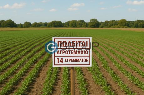 Parcel 15.400sqm for sale-Alexandroupoli » Amfitriti