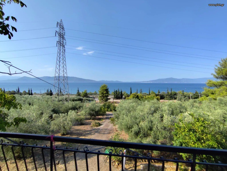 Μονοκατοικία 157 τ.μ. πρός πώληση, Φθιώτιδας, Δαφνούσες