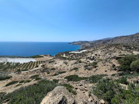Parcel 6.500sqm for sale-Viannos » Tertsa
