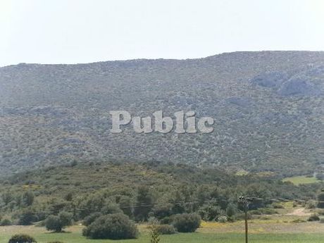 Οικόπεδο 403 τ.μ. προς πώληση