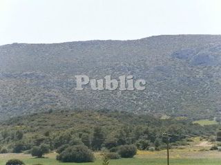 Οικόπεδο 403 τ.μ. για πώληση