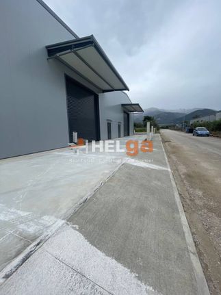 Business bulding 1.100 sqm for rent, Achaia, Messatida