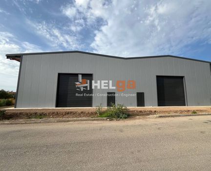 Business bulding 500sqm for rent-Messatida » Demenika