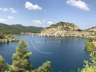 Αγροτεμάχια 5.000.000 τ.μ. για πώληση, Εύβοια, Αιδηψός-thumb-6