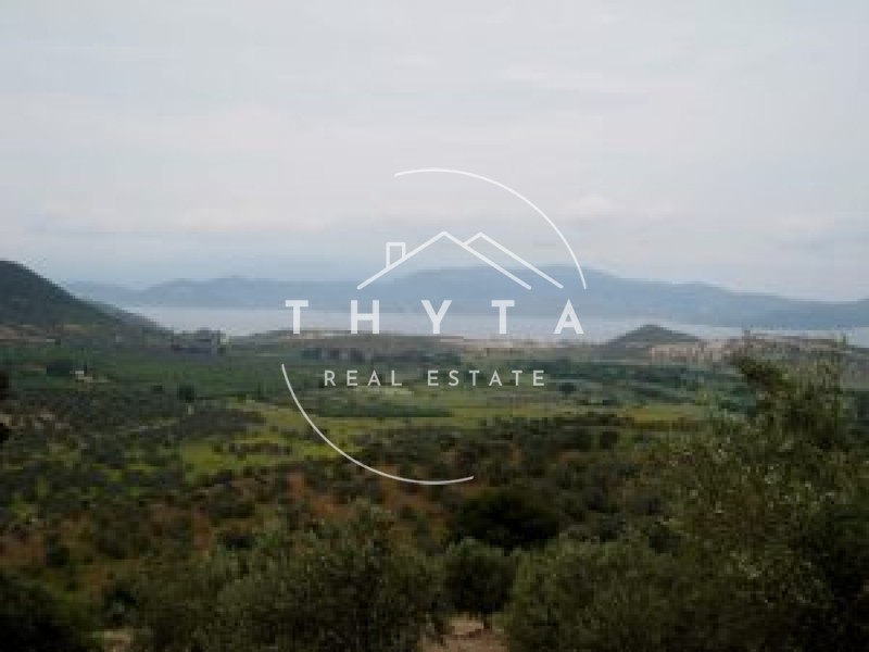 Αγροτεμάχια 5.000.000 τ.μ. πρός πώληση, Εύβοια, Αιδηψός
