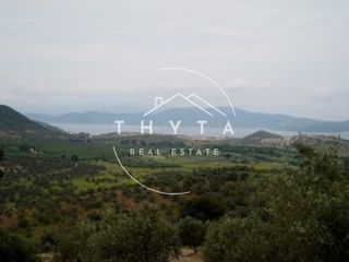 Αγροτεμάχια 5.000.000 τ.μ. για πώληση, Εύβοια, Αιδηψός-thumb-1