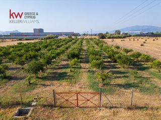 Αγροτεμάχια 17.543 τ.μ. για πώληση, Αργολίδα, Νέα Κίος-thumb-17