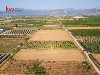 Αγροτεμάχια 17.543 τ.μ. για πώληση, Αργολίδα, Νέα Κίος-thumb-4