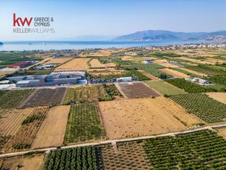 Αγροτεμάχια 17.543 τ.μ. για πώληση, Αργολίδα, Νέα Κίος-thumb-5