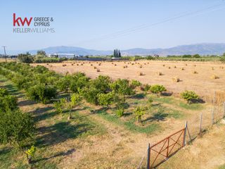 Αγροτεμάχια 17.543 τ.μ. για πώληση, Αργολίδα, Νέα Κίος-thumb-18