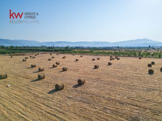Αγροτεμάχια 17.543 τ.μ. για πώληση, Αργολίδα, Νέα Κίος-thumb-14