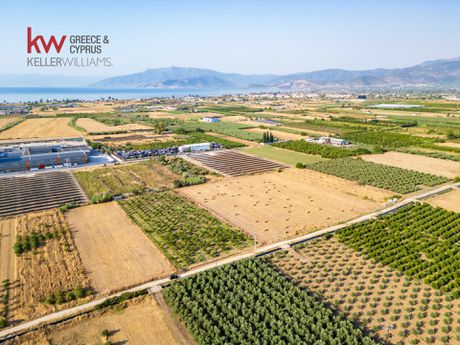 Αγροτεμάχια 17.543τ.μ. για πώληση-Νέα κίος