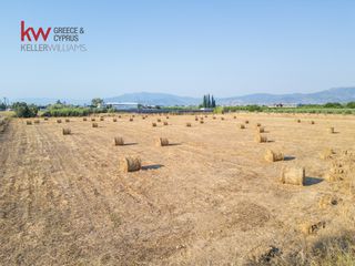 Αγροτεμάχια 17.543 τ.μ. για πώληση, Αργολίδα, Νέα Κίος-thumb-16