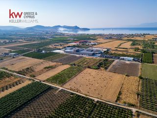 Αγροτεμάχια 17.543 τ.μ. για πώληση, Αργολίδα, Νέα Κίος-thumb-6