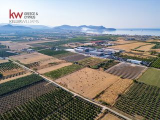 Αγροτεμάχια 17.543 τ.μ. για πώληση, Αργολίδα, Νέα Κίος-thumb-8