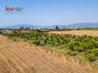Αγροτεμάχια 17.543 τ.μ. για πώληση, Αργολίδα, Νέα Κίος-thumb-19