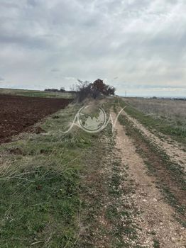 Αγροτεμάχια 7.900 τ.μ. πρός πώληση