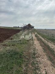 Αγροτεμάχια 7.900 τ.μ. για πώληση