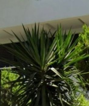 Διαμέρισμα 52τ.μ. για πώληση-Παλαιό φάληρο » Κέντρο