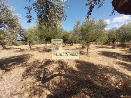 Οικόπεδο 1.436τ.μ. για πώληση-Λεύκτρος » Ρίγκλια