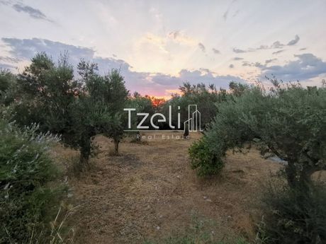 Αγροτεμάχια 7.560 τ.μ. για πώληση