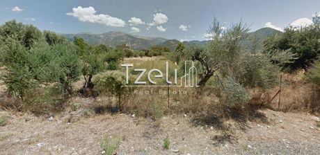 Αγροτεμάχια 4.200 τ.μ. για πώληση