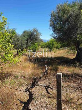 Αγροτεμάχια 5.748 τ.μ. για πώληση