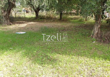 Οικόπεδο 3.560 τ.μ. για πώληση