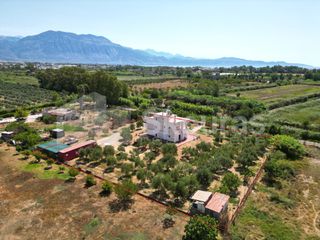 Μονοκατοικία 243 τ.μ. για πώληση, Μεσσηνία, Καλαμάτα-thumb-1