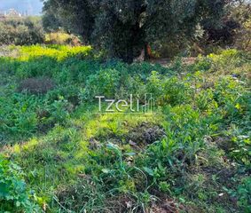 Οικόπεδο 550 τ.μ. για πώληση