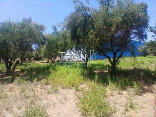 Οικόπεδο 1.828 τ.μ. για πώληση, Αχαΐα, Παραλία-thumb-12