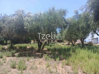 Οικόπεδο 1.828 τ.μ. για πώληση, Αχαΐα, Παραλία-thumb-8
