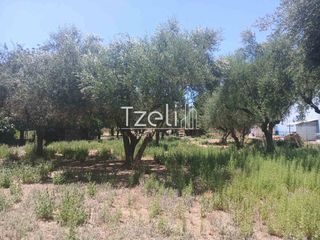 Οικόπεδο 1.828 τ.μ. για πώληση, Αχαΐα, Παραλία-thumb-6