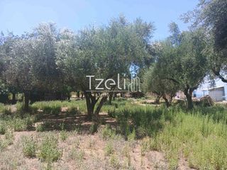 Οικόπεδο 1.828 τ.μ. για πώληση, Αχαΐα, Παραλία-thumb-2