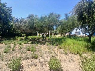 Οικόπεδο 1.828 τ.μ. για πώληση, Αχαΐα, Παραλία-thumb-18