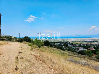 Οικόπεδο 539 τ.μ. για πώληση, Αχαΐα, Μεσσατίδα-thumb-4