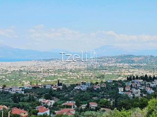 Οικόπεδο 539 τ.μ. για πώληση, Αχαΐα, Μεσσατίδα-thumb-16