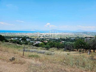 Οικόπεδο 539 τ.μ. για πώληση, Αχαΐα, Μεσσατίδα-thumb-10