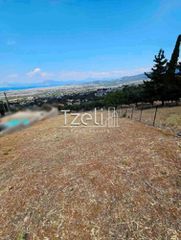 Οικόπεδο 539 τ.μ. για πώληση, Αχαΐα, Μεσσατίδα-thumb-14