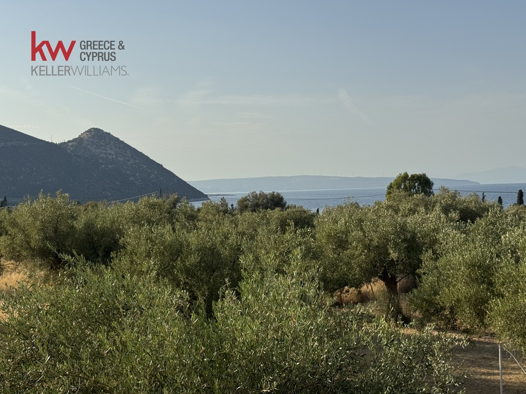 Μονοκατοικία 91,50 τ.μ. προς πώληση, Λουκίσια