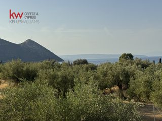 Μονοκατοικία 91,50 τ.μ. για πώληση