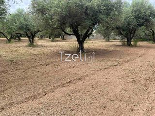 Οικόπεδο 664 τ.μ. για πώληση