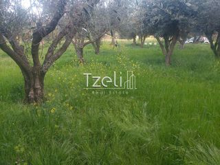 Αγροτεμάχια 1.760 τ.μ. για πώληση